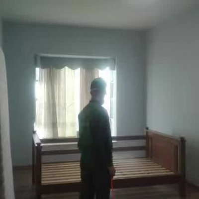 除甲醛案例